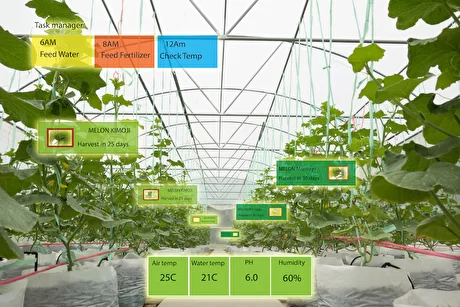 How digital twins will enable the next generation of precision agriculture