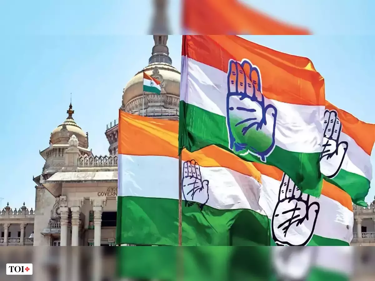 Cong raises Rs 10 crore in 2 weeks through crowdfunding ahead of LS polls