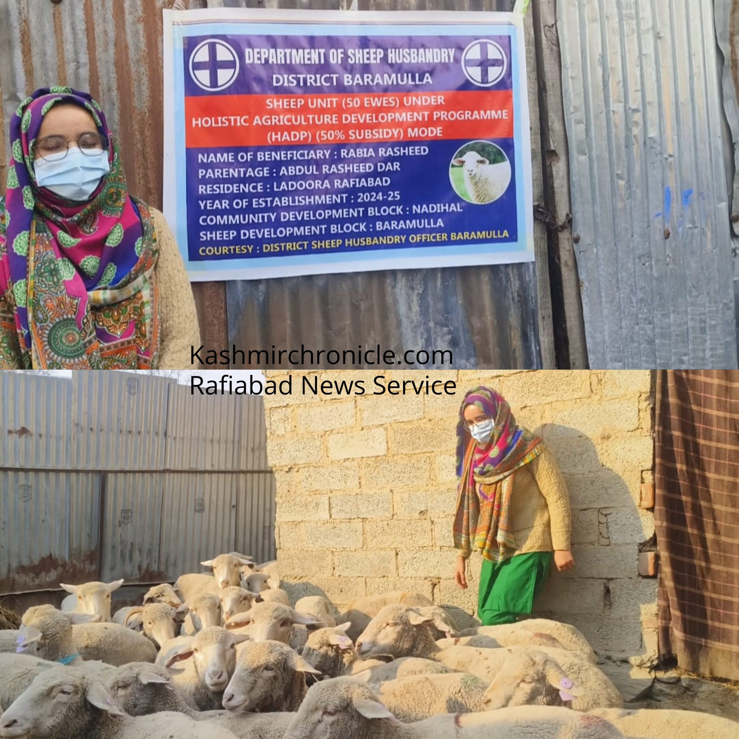 Young Woman in J&K Breaks Barriers, Turns Entrepreneur in Sheep Farming