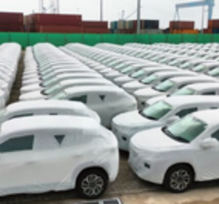 Passenger vehicles grew by 4.5 per cent in Q3 of 2024-25 with sales of 10.6 lakh units compared to the previous year.