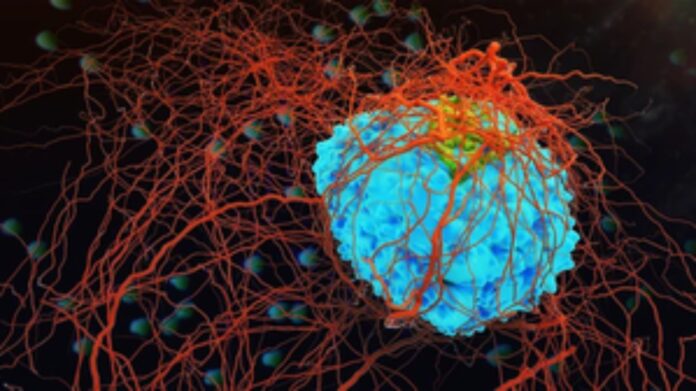 gene Bioengineering professor Rashid Bashir from University of Illinois Grainger College of Engineering, led a team of researchers for the project.